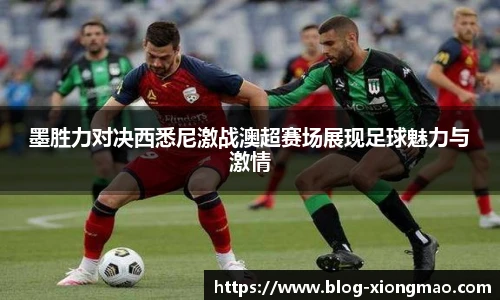 熊猫体育官方入口